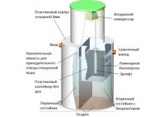 Биозон 40